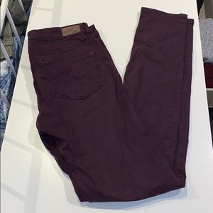 Garage Plum High Waist Skinny Jegging